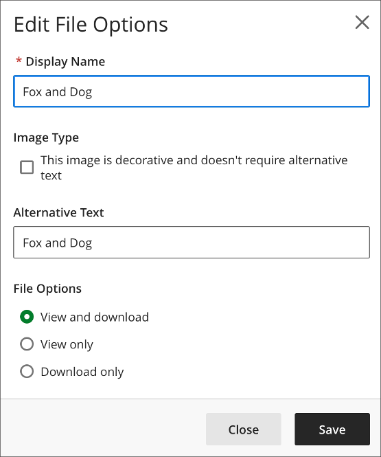 Image Settings includes the display name, alternative text, an option to mark an image as decorative, and an option to force users to download the media