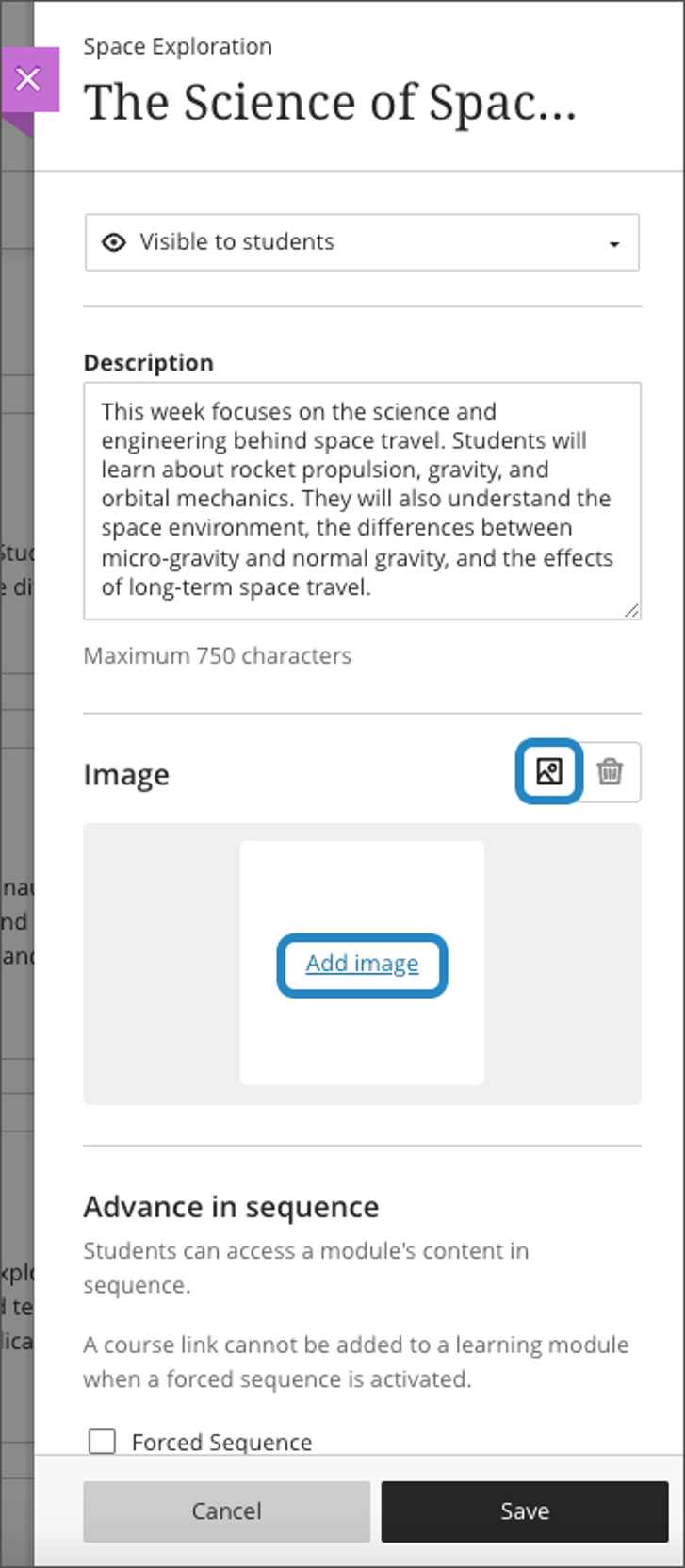 The instructor can select “Add image” or the image button