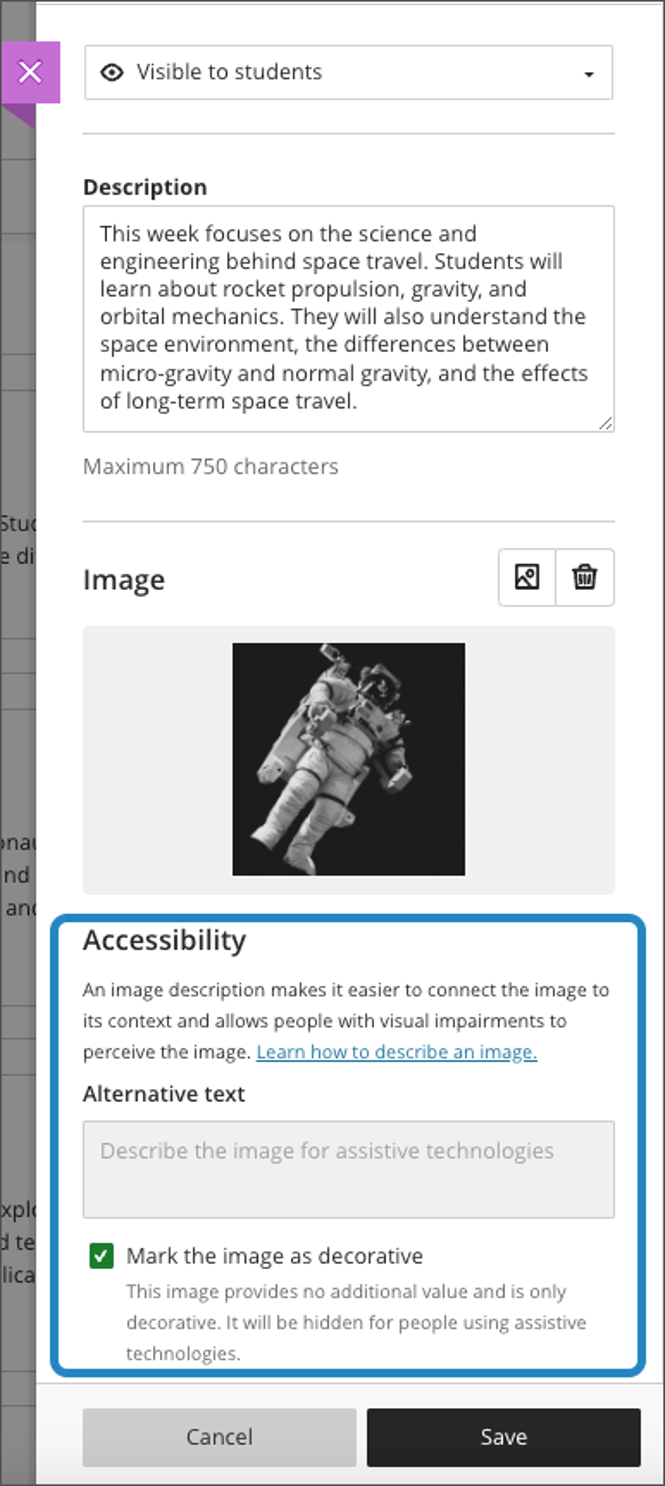 Accessibility settings for Learning Module image