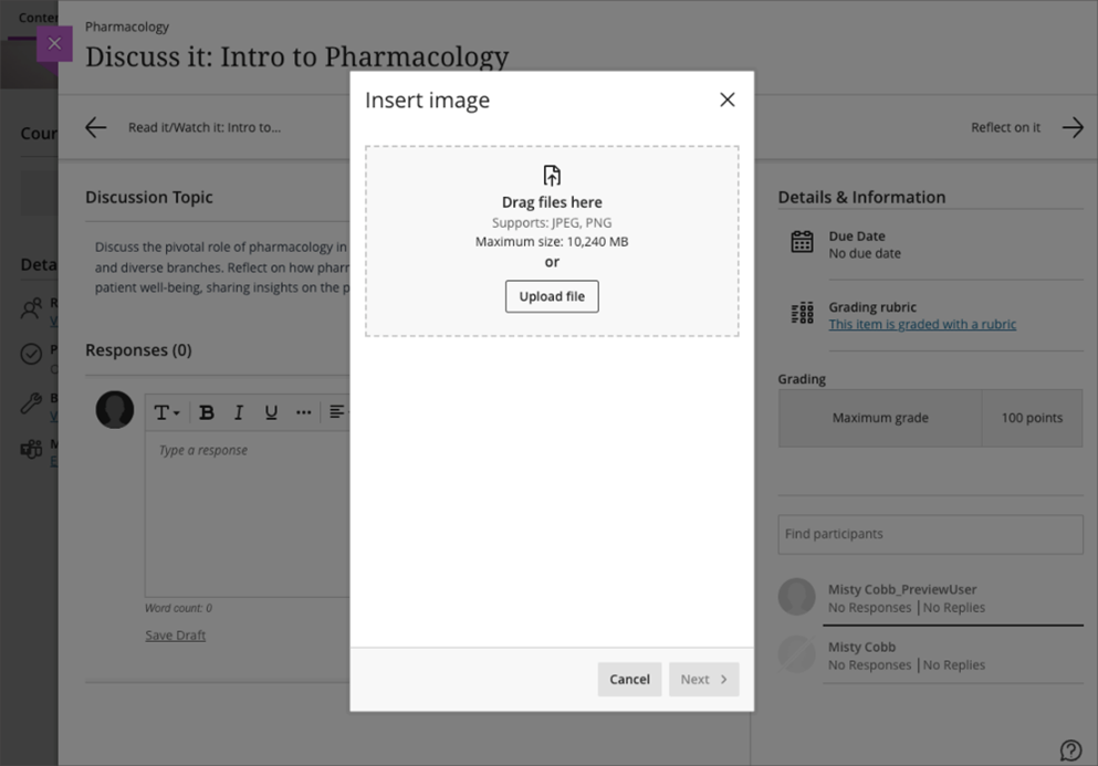 Student view – Drag and drop or upload an image file 