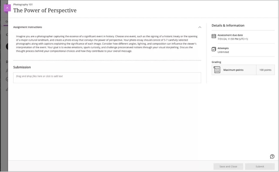 Student view of the assignment instructions