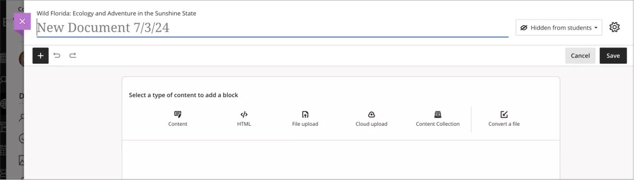Empty Document with block options