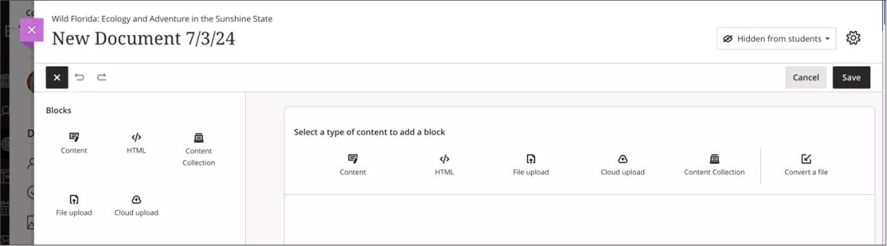 Empty Document with the blocks panel opened