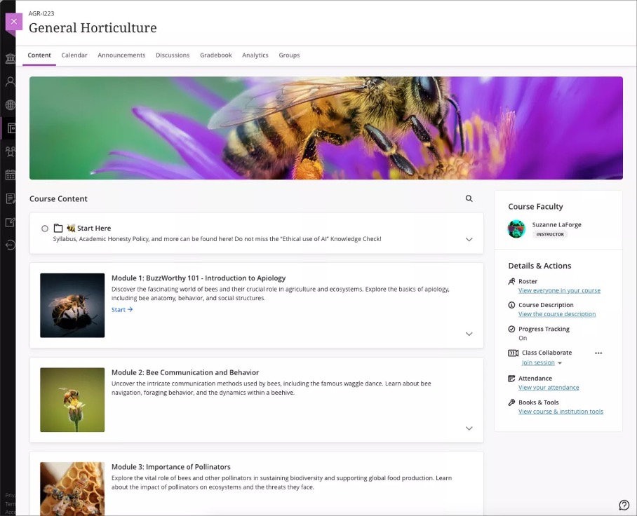 Image 2. Student view: Course Content page visual depth improvements