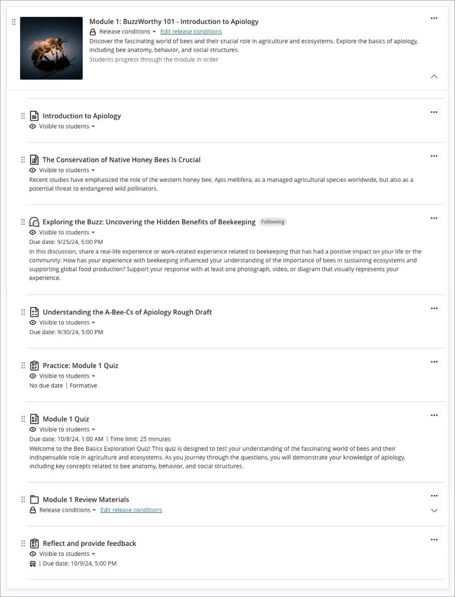 Image 3. Instructor view: Content Item presentation for a Learning Module