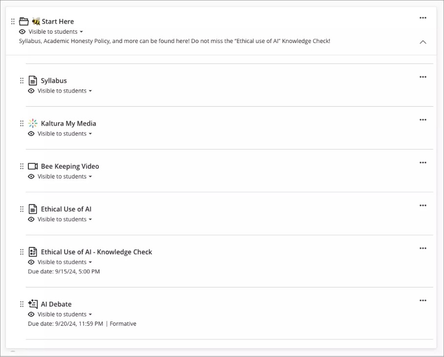 Image 4. Instructor view: Content item presentation for a Folder