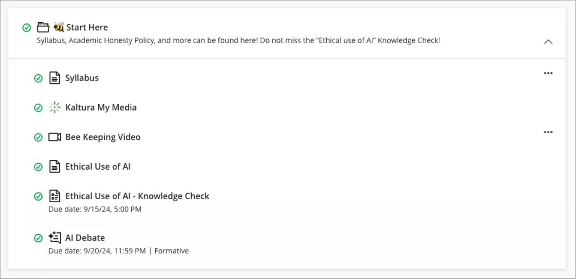 Image 6. Student view: Content item presentation for a Folder