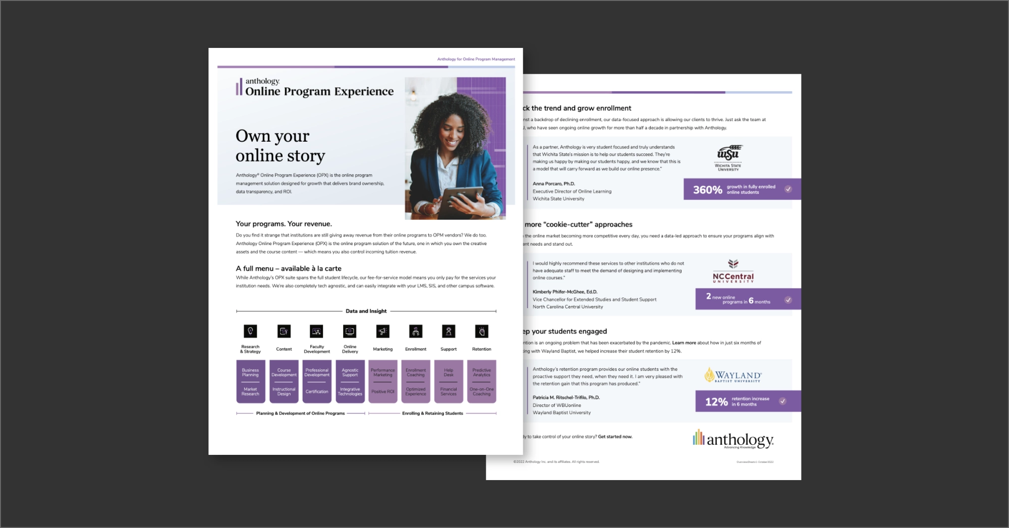 Preview of the datasheet over a gray background