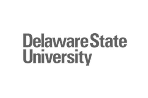 delaware state logo